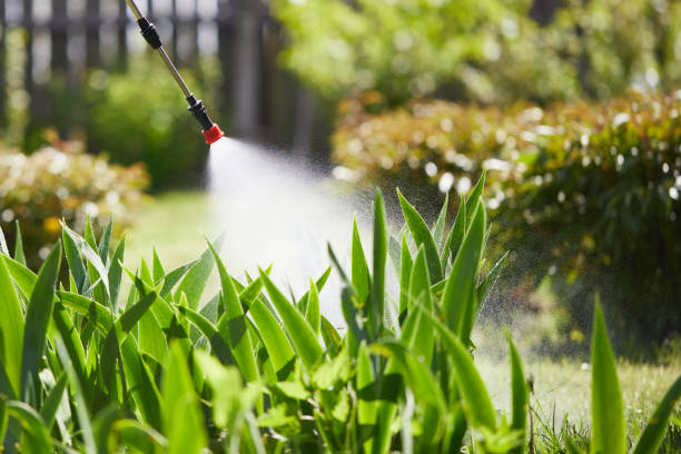 24/7 Emergency Mosquito Control experts in Baden, PA