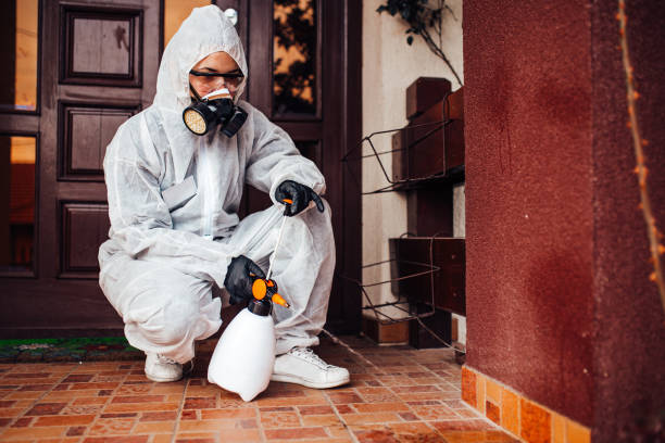 Reliable Mosquito Control contractor in Baden, PA by Show Me Pest Control